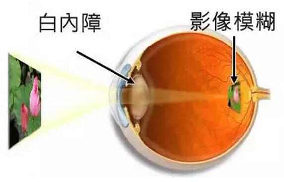 QQ截图20220623170157.jpg